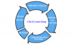 Đánh giá quá trình mua hàng và chuỗi nhà cung ứng trong ISO 9001:2015