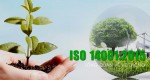 Quy trình thực hiện tư vấn ISO 14001