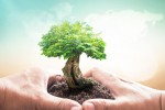 QUY TRÌNH THỰC HIỆN TƯ VẤN ISO 14001