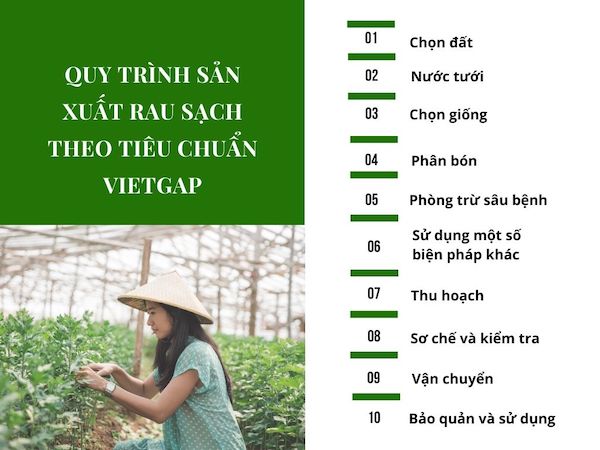 Vùng Nam Trung Bộ Chỉ có một mô hình chăn nuôi đạt tiêu chuẩn Vietgap