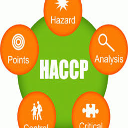 Áp dụng tiêu chuẩn HACCP trong công bố hợp quy sản phẩm