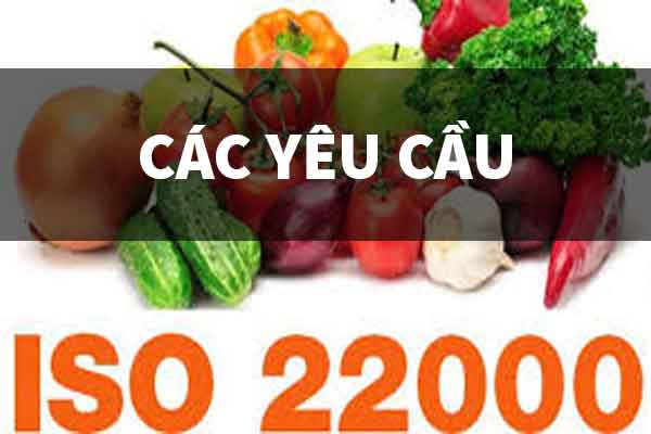 ISO 22000 Hệ thống quản lý an toàn thực phẩm - Yêu cầu đối với bất kỳ tổ chức nào trong chuỗi thực phẩm