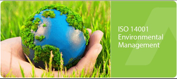 Ý nghĩa ISO 14001 đối với hoạt động doanh nghiệp