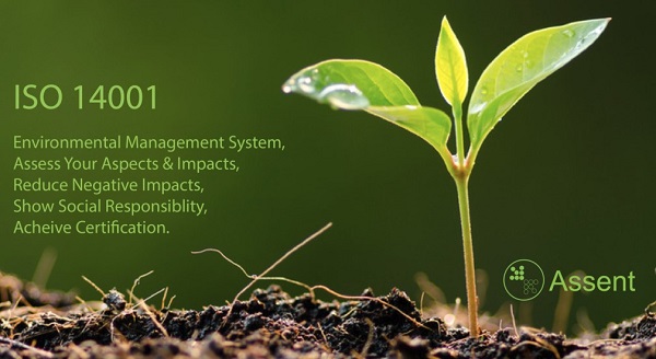 Giới thiệu chứng nhận ISO 14001 hệ thống quản lý môi trường, Lợi ích của việc được cấp chứng chỉ ISO 14001