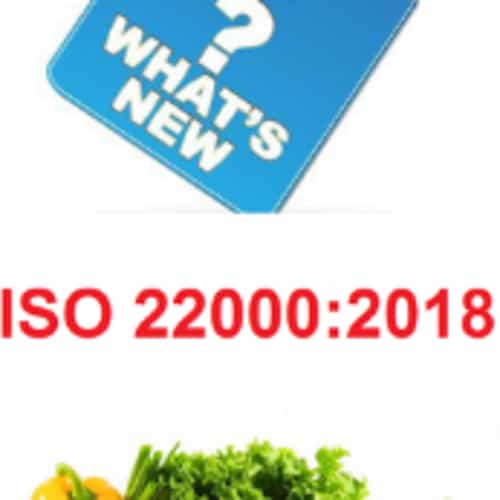 Nâng cấp phiên bản ISO 22000:2018