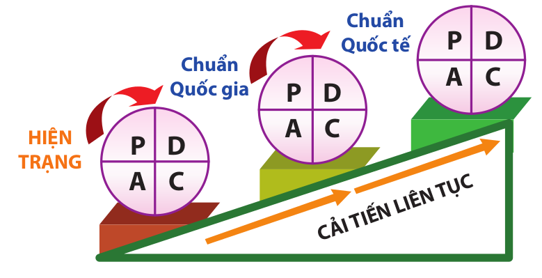 PDCA là gì Quy trình PDCA trong hệ thống quản lý chất lượng 900