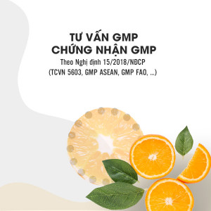 Tư vấn GMP - Chứng nhận GMP theo Nghị định 15/2018/NĐCP (TCVN 5603, GMP ASEAN, GMP FAO, ...)