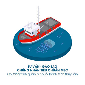 Tư vấn - đào tạo - chứng nhận tiêu chuẩn MSC - Chương trình quản lý chuỗi hành trình thủy sản